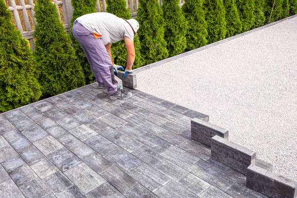 Best Driveway Repair Near Me  in St Joseph, MN
