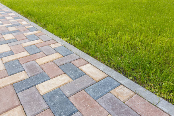 Best Commercial Driveway Pavers  in St Joseph, MN